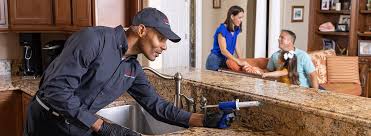 Best Commercial Pest Control  in Rayre, MO